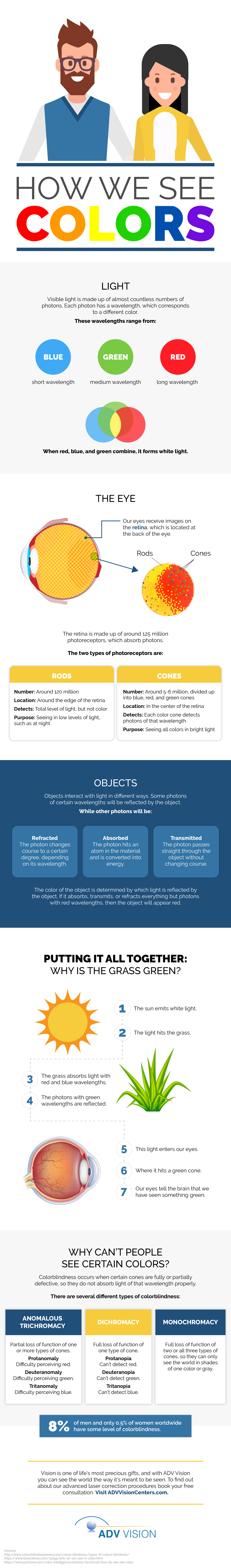 How We See Colors Infographic